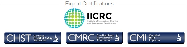 Expert certification